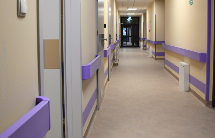 Handrails and Crash Rails in Medical and Long-Term Care Facilities – Safety and Hygiene